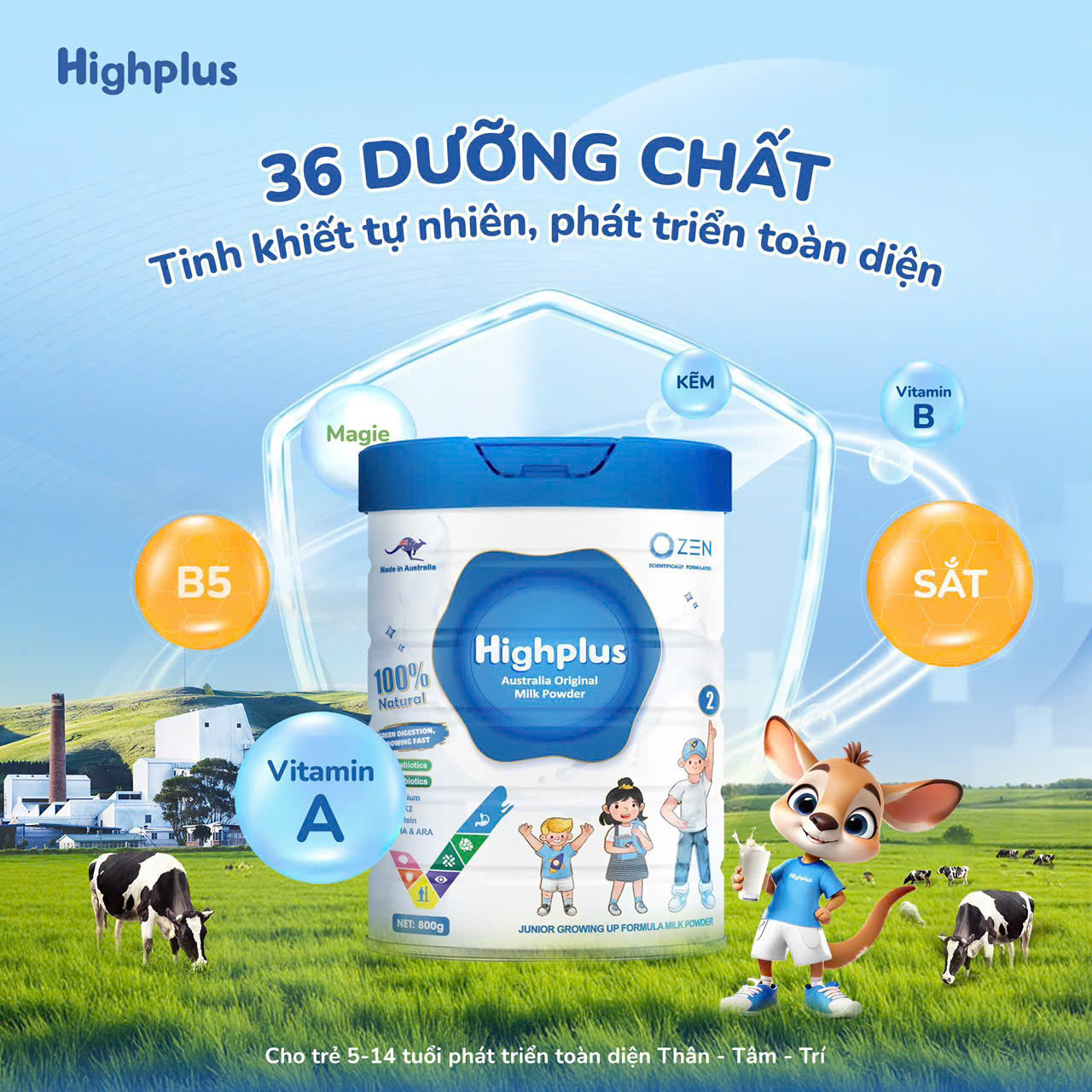 sphighplus (6)